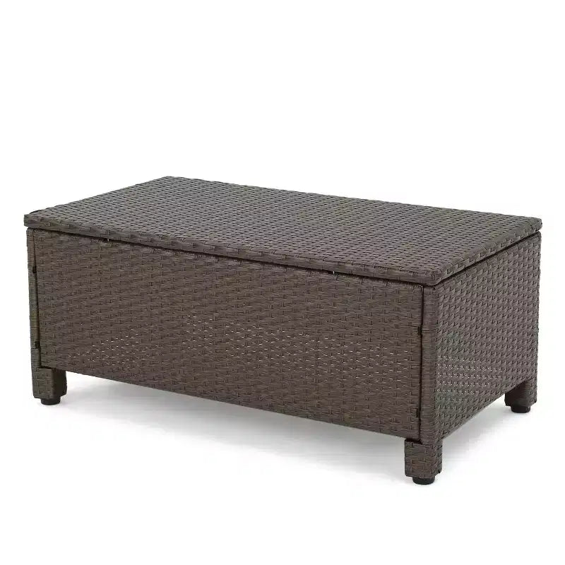 Christopher Knight Home Paddy Outdoor Rattan and Iron Adjustable Chaise Lounge with Cover