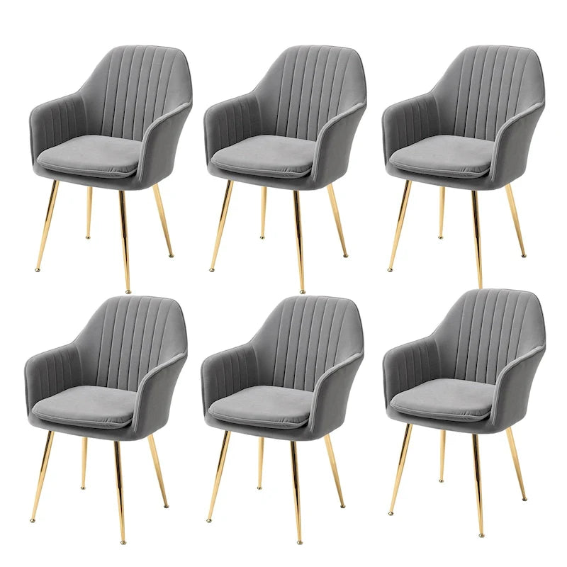 Samtbezogener Esszimmer-Sessel mit goldenen Beinen (6er-Set)