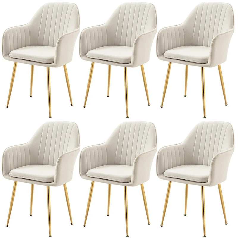 Samtbezogener Esszimmer-Sessel mit goldenen Beinen (6er-Set)