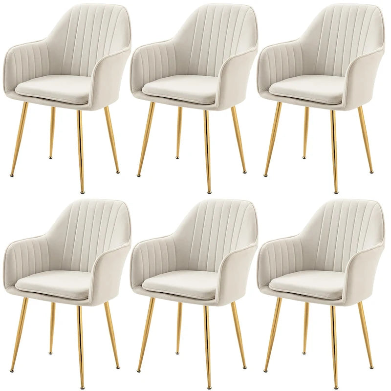 Samtbezogener Esszimmer-Sessel mit goldenen Beinen (6er-Set)