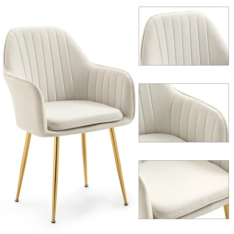 Samtbezogener Esszimmer-Sessel mit goldenen Beinen (6er-Set)