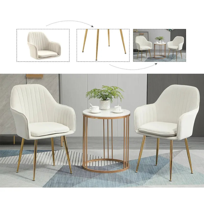 Samtbezogener Esszimmer-Sessel mit goldenen Beinen (6er-Set)