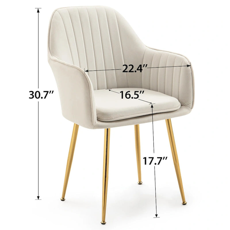 Samtbezogener Esszimmer-Sessel mit goldenen Beinen (6er-Set)