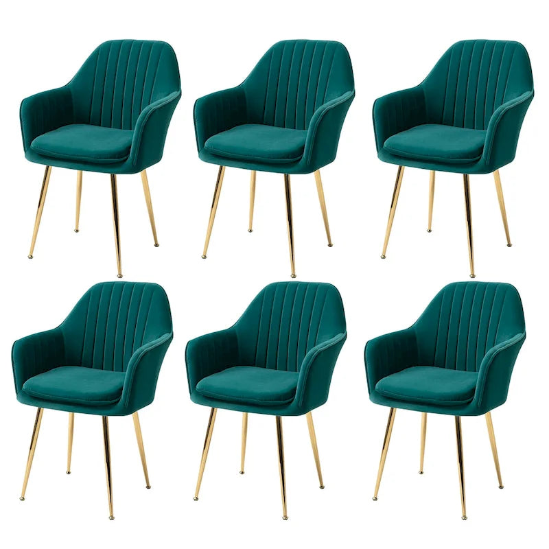 Samtbezogener Esszimmer-Sessel mit goldenen Beinen (6er-Set)